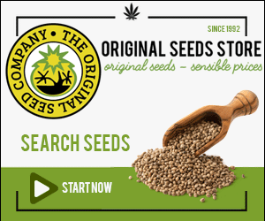 Buy Cannabis Seeds