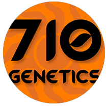 710 Genetics Seeds