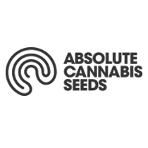 Absolute Cannabis Seeds - Seed Bank