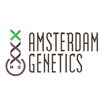 Amsterdam Genetics Seeds