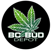 BC Bud Depot Seeds - Cannabis Seeds Banks