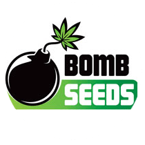 Bomb Seeds - Seed Bank