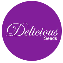 Delicious Seeds - Cannabis Seeds Banks