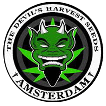 Devils Harvest Original Seeds