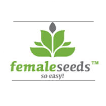 Female Seeds - Cannabis Seeds Banks
