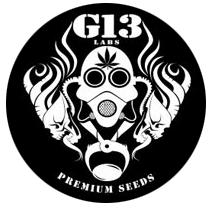 G13_Labs_logo.png