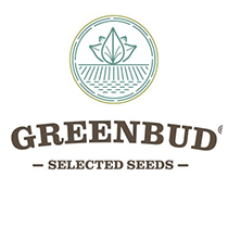 Greenbud Seeds - Seed Bank