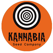 Kannabia Seeds - Seed Bank