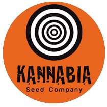 Kannabia Seeds