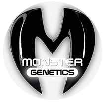 Monster Genetics - Cannabis Seeds Banks