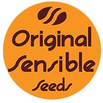 Znalezione obrazy dla zapytania Original Sensible Seeds