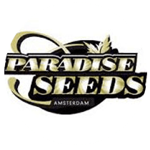 Paradise Seeds - Cannabis Seeds Banks