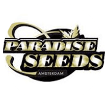 Paradise Seeds