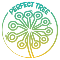 Perfect Tree Seeds - Cannabis Seeds Banks