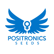 Positronics Seeds