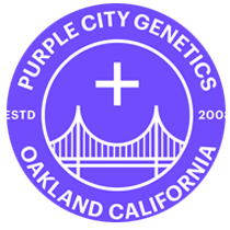 Purple City Genetics - Cannabis Seeds Banks
