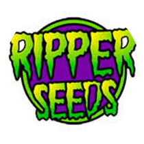 Ripper Seeds - Seed Bank