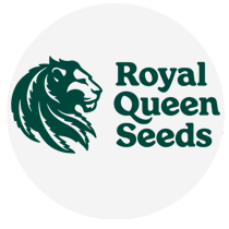 Royal Queen Seeds - Cannabis Seeds Banks