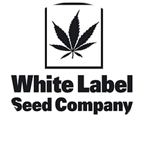 Sensi White Label Seeds