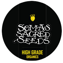 Soma Seeds - Cannabis Seeds Banks