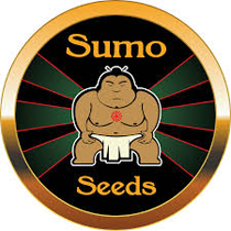 Sumo Seeds - Cannabis Seeds Banks