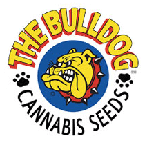 The Bulldog Seeds - Cannabis Seeds Banks