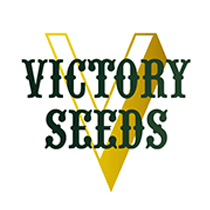 Victory Seeds - Cannabis Seeds Banks