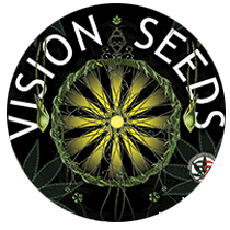 Vision Seeds 