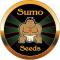 upload/man_compressed/60/Sumo_Seeds_logo_60.png