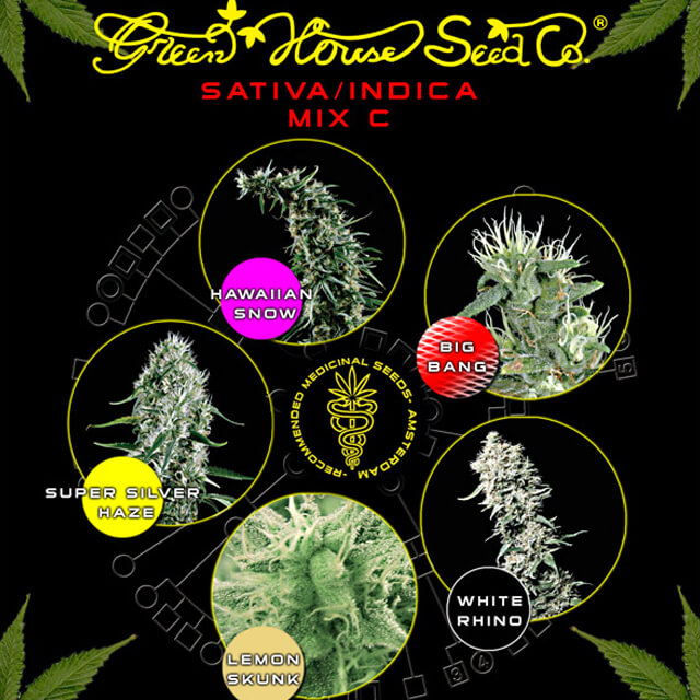 Buy Green House Seeds Sativa / Indica Mix C FEM