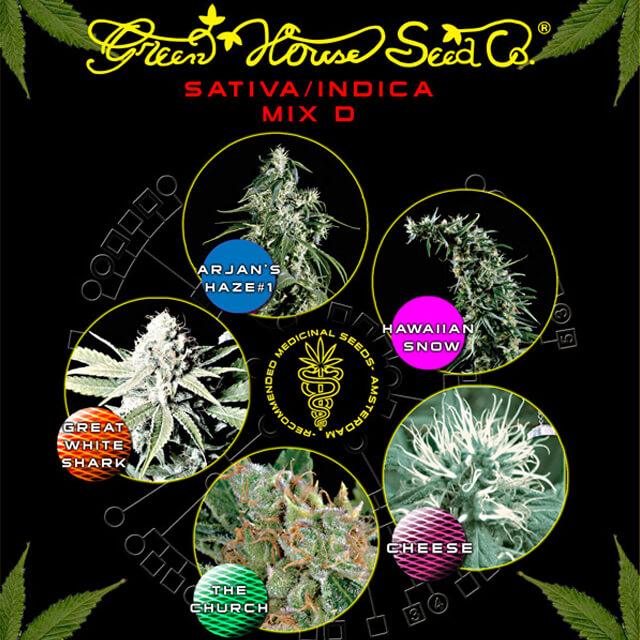 Buy Green House Seeds Sativa / Indica Mix D FEM