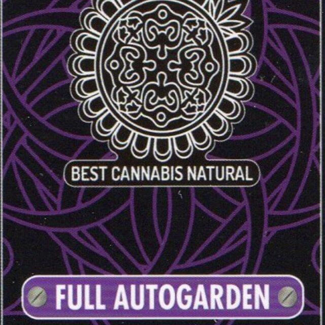 Buy Original Sensible Seeds  Full Autogarden FEM