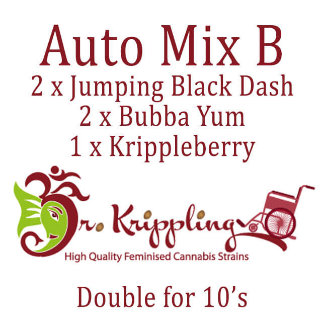 Buy Dr Krippling Seeds Auto Mix B