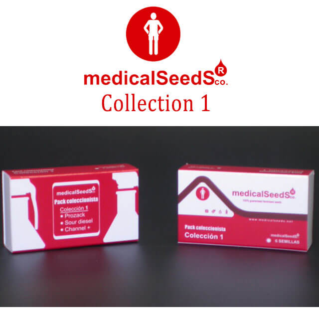 Buy Medical Seeds Medical Collection 1 Feminised Seeds