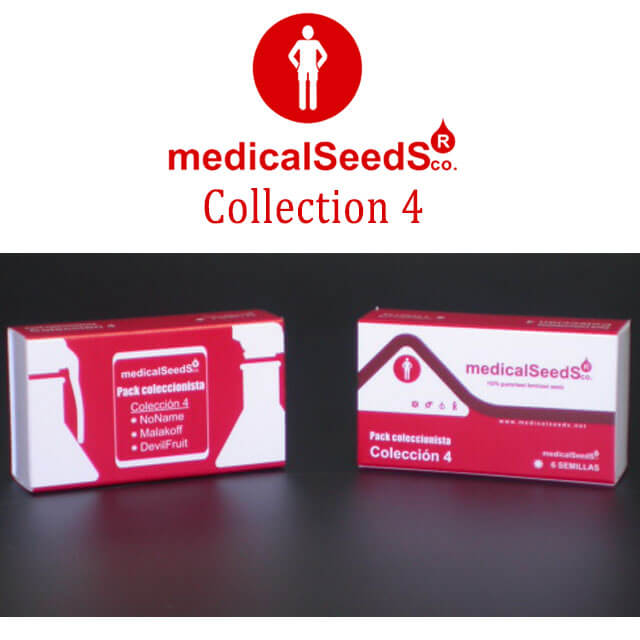 Buy Medical Seeds Medical Collection 4 Feminised Seeds
