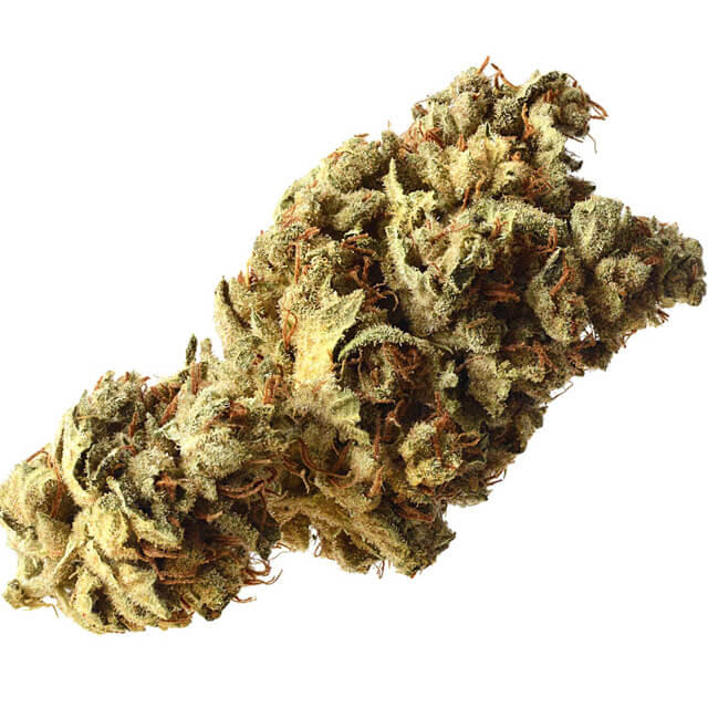 Buy Original Sensible Seeds  Pineapple Kush FEM