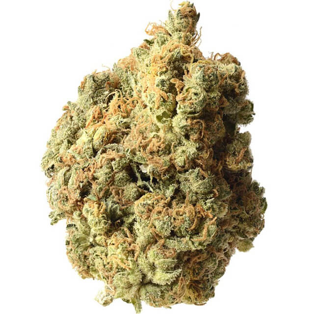 Buy Original Sensible Seeds  AK 020 FEM