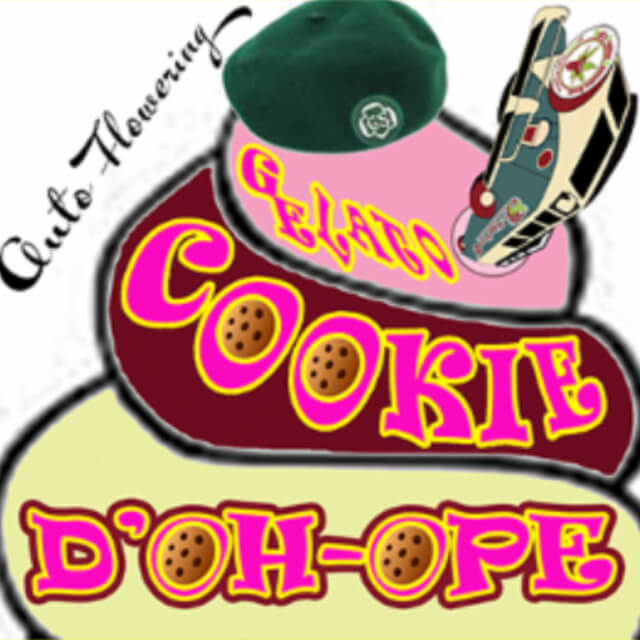 Buy Dr Krippling Seeds Gelato Cookie Doh-ope Auto FEM