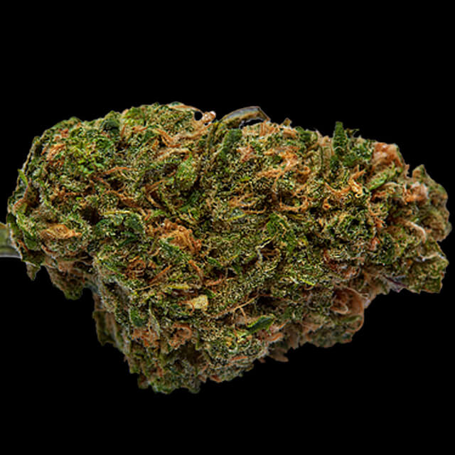 Buy Original Sensible Seeds  Black Valium FEM