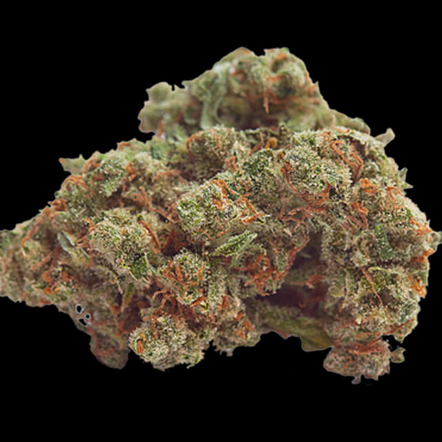 Buy Original Sensible Seeds  Glue Dream FEM