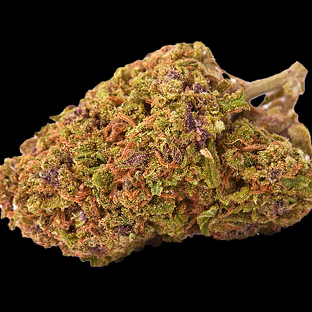 Buy Original Sensible Seeds  San Francisco Sour Dough FEM