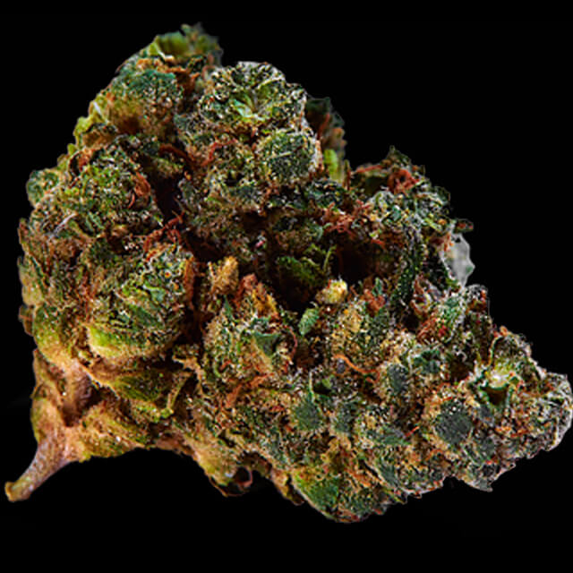 Buy Original Sensible Seeds  Auto Black Valium FEM