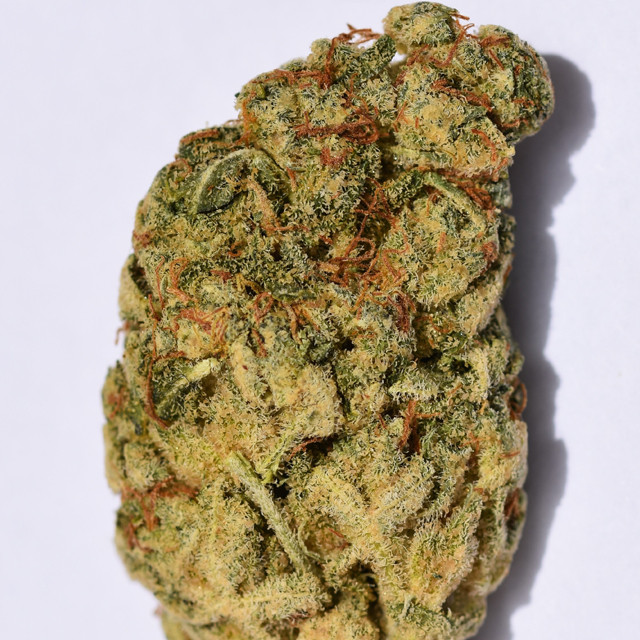 Buy Big Head Seeds Wedding Cake FEM