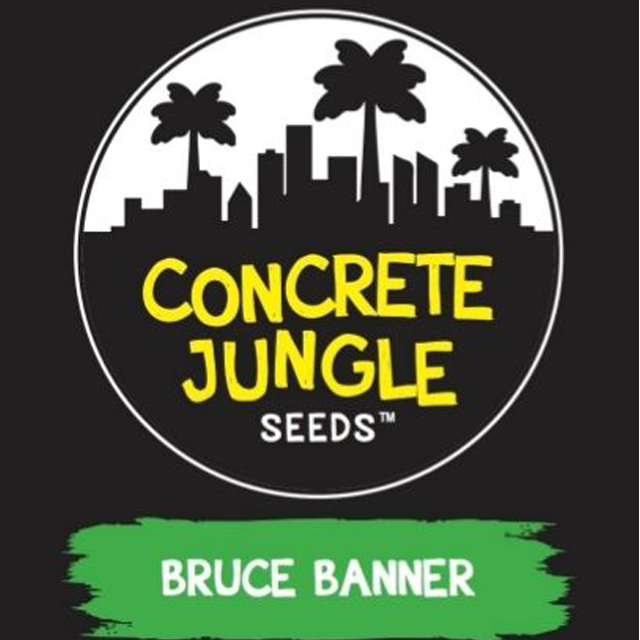 Buy Original Sensible Seeds  Bruce Banner FEM