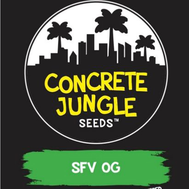 Buy Original Sensible Seeds  SFV OG FEM