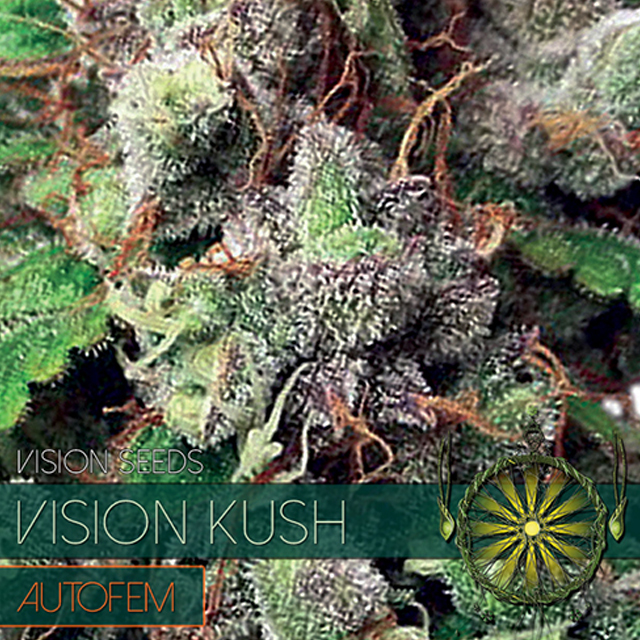 Buy Vision Seeds  Vision Kush Auto FEM