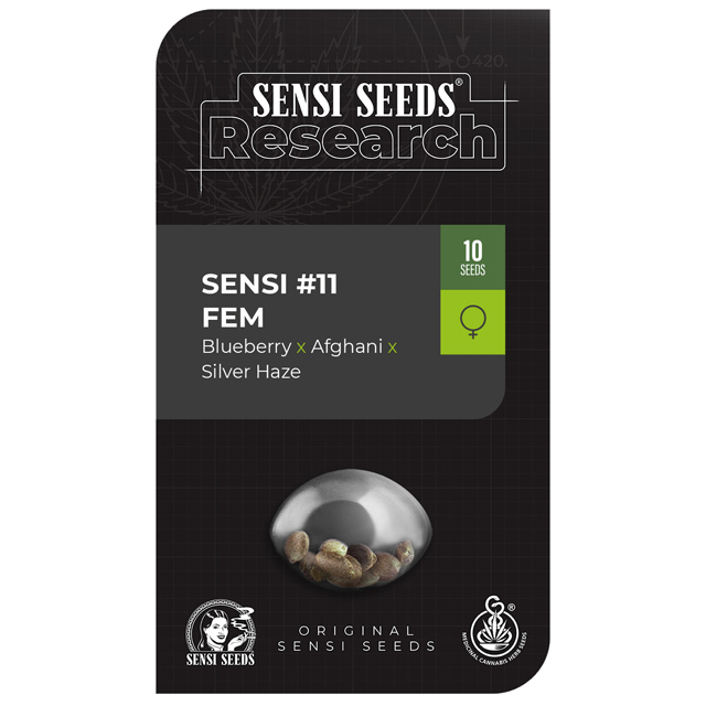 Buy Sensi Seeds Research #11 (Blueberry x Afghani x Silver Haze)  FEM