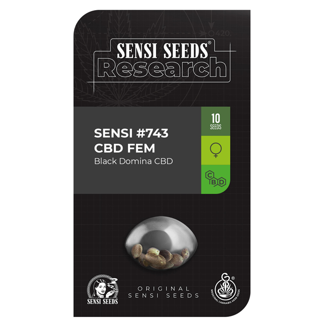 Buy Sensi Seeds Research #743 (Black Domina CBD) FEM