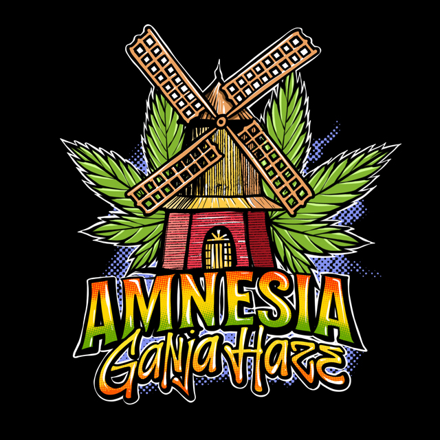 Buy Sumo Seeds Amnesia Ganja Haze FEM
