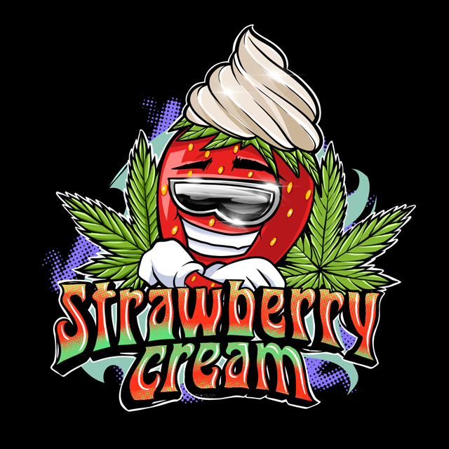 Buy Sumo Seeds Strawberry Cream FEM